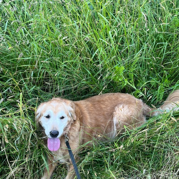 Meet your Posher, Rachael - Picture 6 of 16